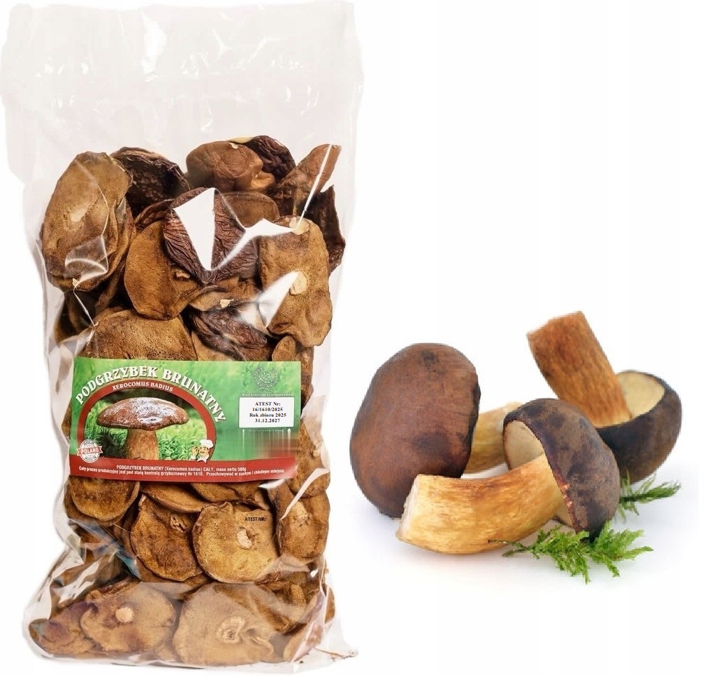 Podhoubek Klobouky 500g Nová Sbírka 2025 Polský Atest sušené lesní houby