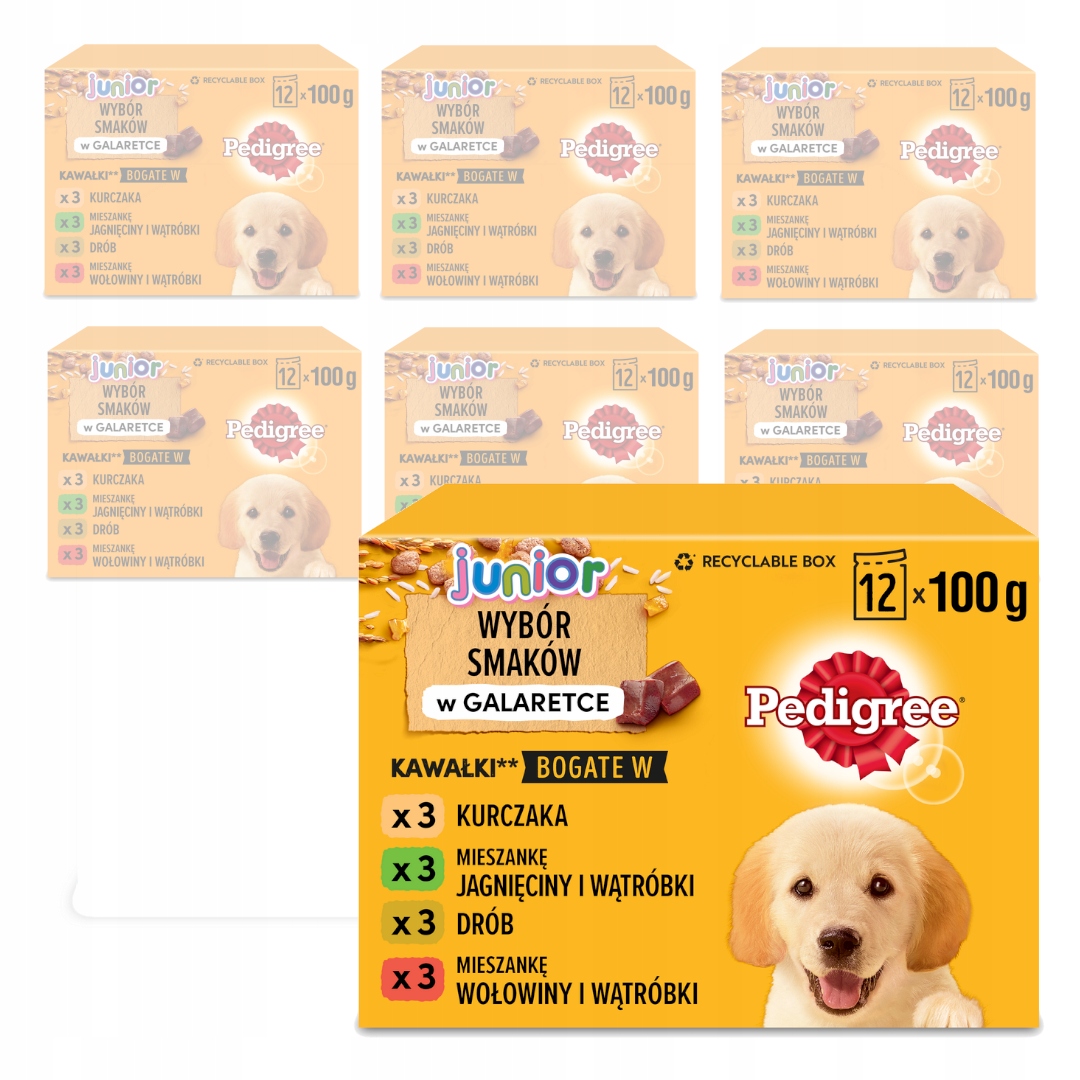 Levně Pedigree Junior Selection of Flavours 84x100g mokré Krmivo V Želé