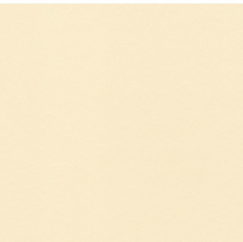 Konzervační karton Antique ISO9706, 100% alpha celulóza, 90x120cm 2.5mm