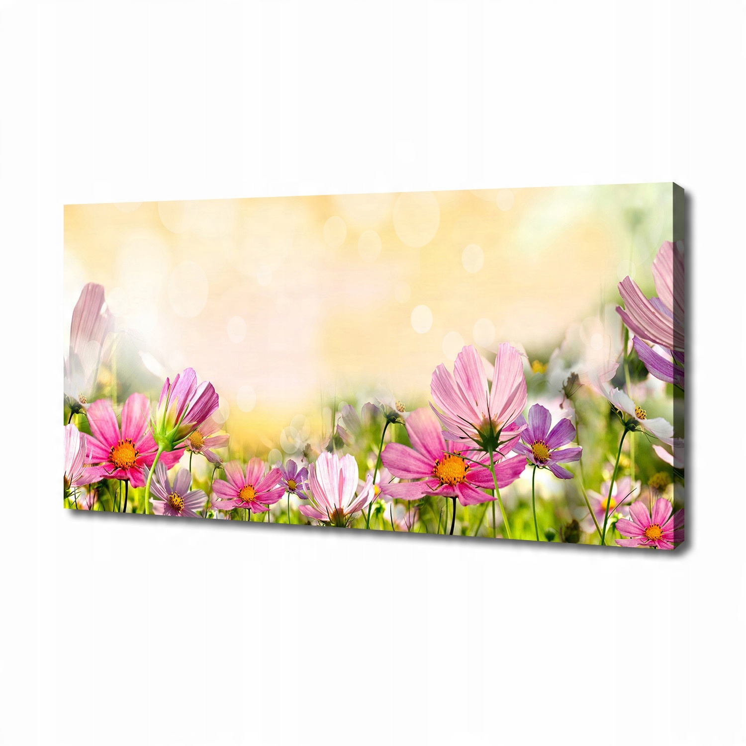 

Obraz zdjęcie na płótnie nowoczesny Maki 140x70 cm
