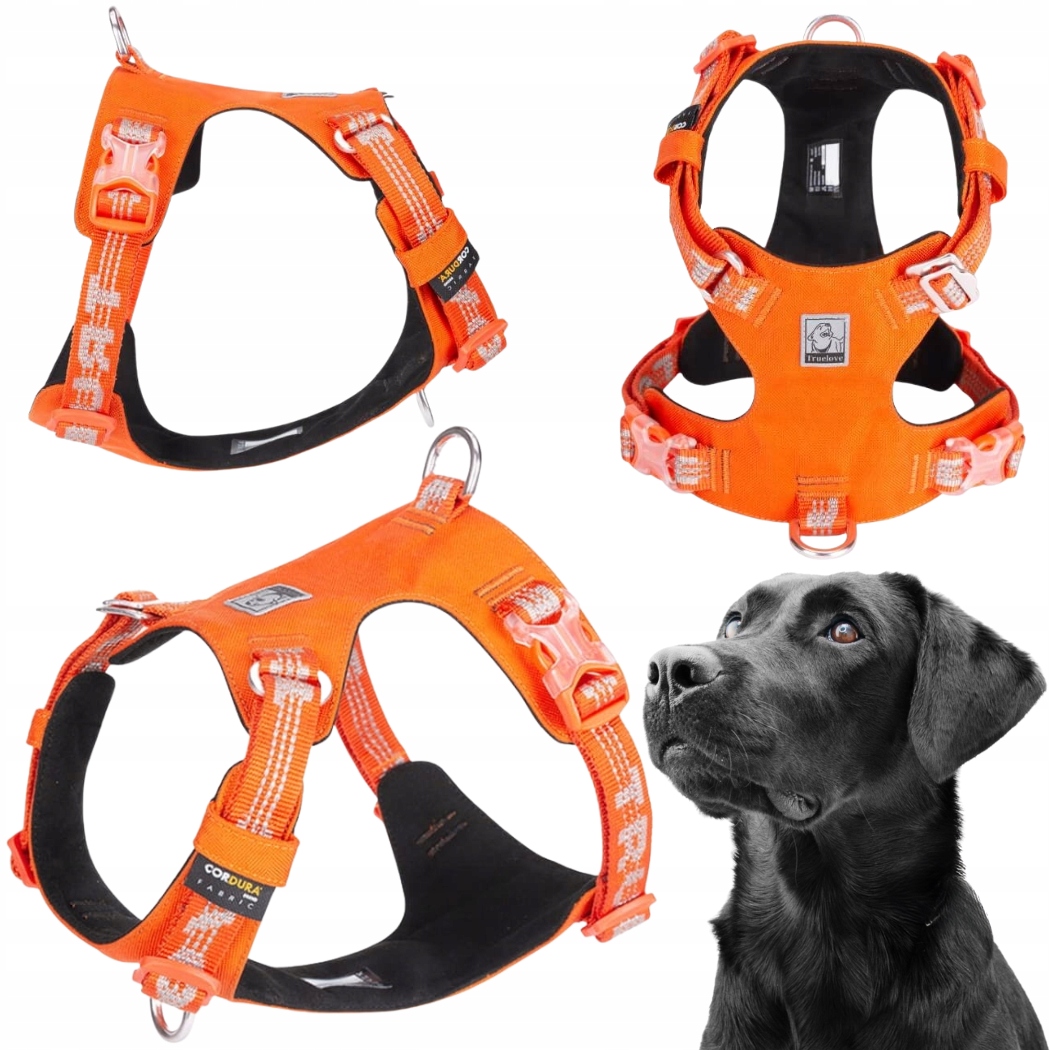 Levně Voděodolné Obojky Pro Psa Lehké Truelove Adventure Dog Oranžové XL