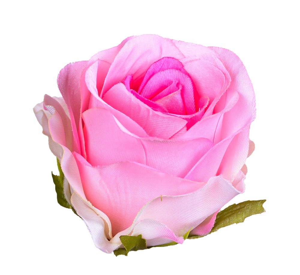 Róża Vivaldi główka różowa