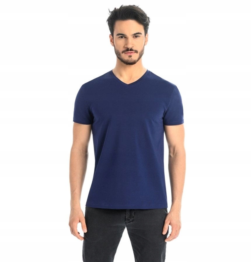 

T-shirt męski bawełniany Dany V niebieski Teyli