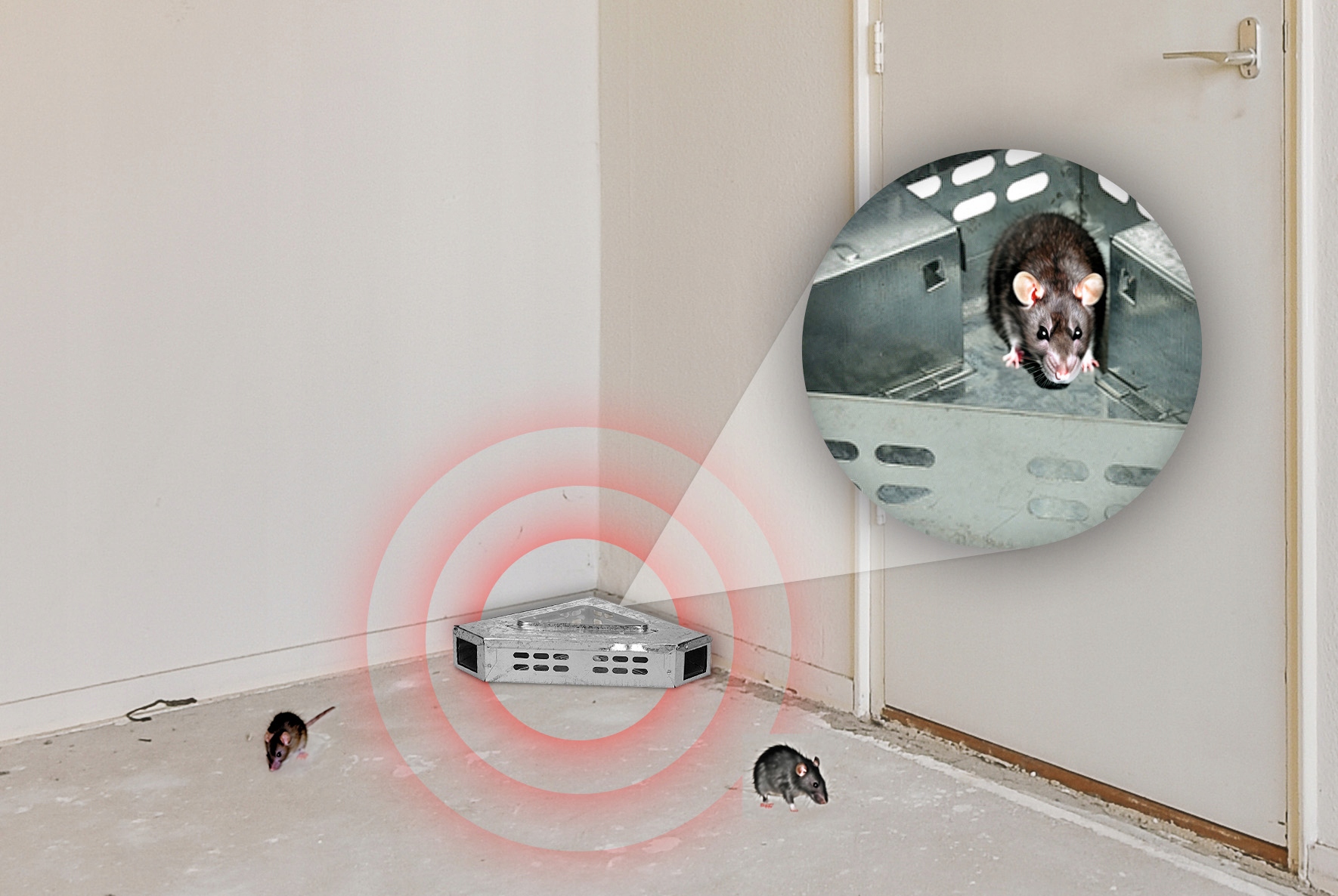 MYSZOŁAPKA ŻYWOŁAPKA PUŁAPKA NA MYSZY CHWYTACZ ODS2 BEZPIECZNA I WYTRZYMAŁA Kod producenta METALOWA NAROŻNA MYSZOŁAPKA PUŁAPKA NA M