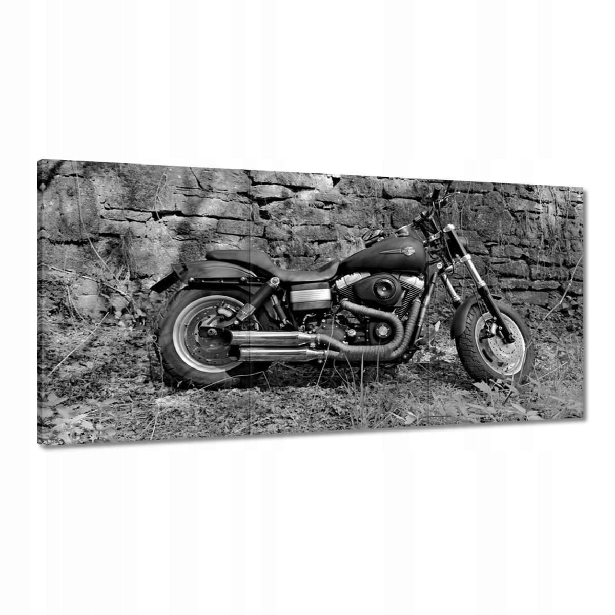 Obrazy 180x90 Harley Davidson Motocykel