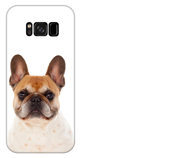 

Etui pokrowiec Samsung Galaxy S8 Pies buldog franc