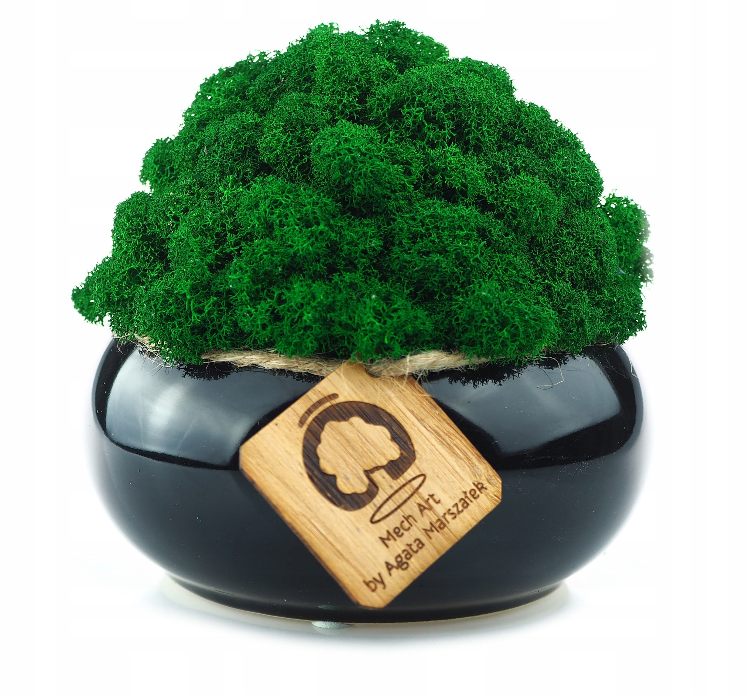 Sobí mech v květináči různé barvy Mikroklimat květináč s mechem