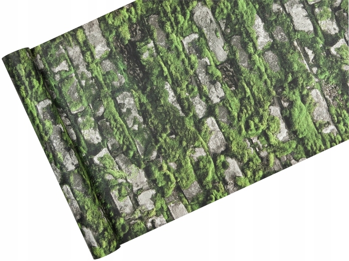 3D tapeta jako fototapeta Mech na kamenech, vinylová na flizelině