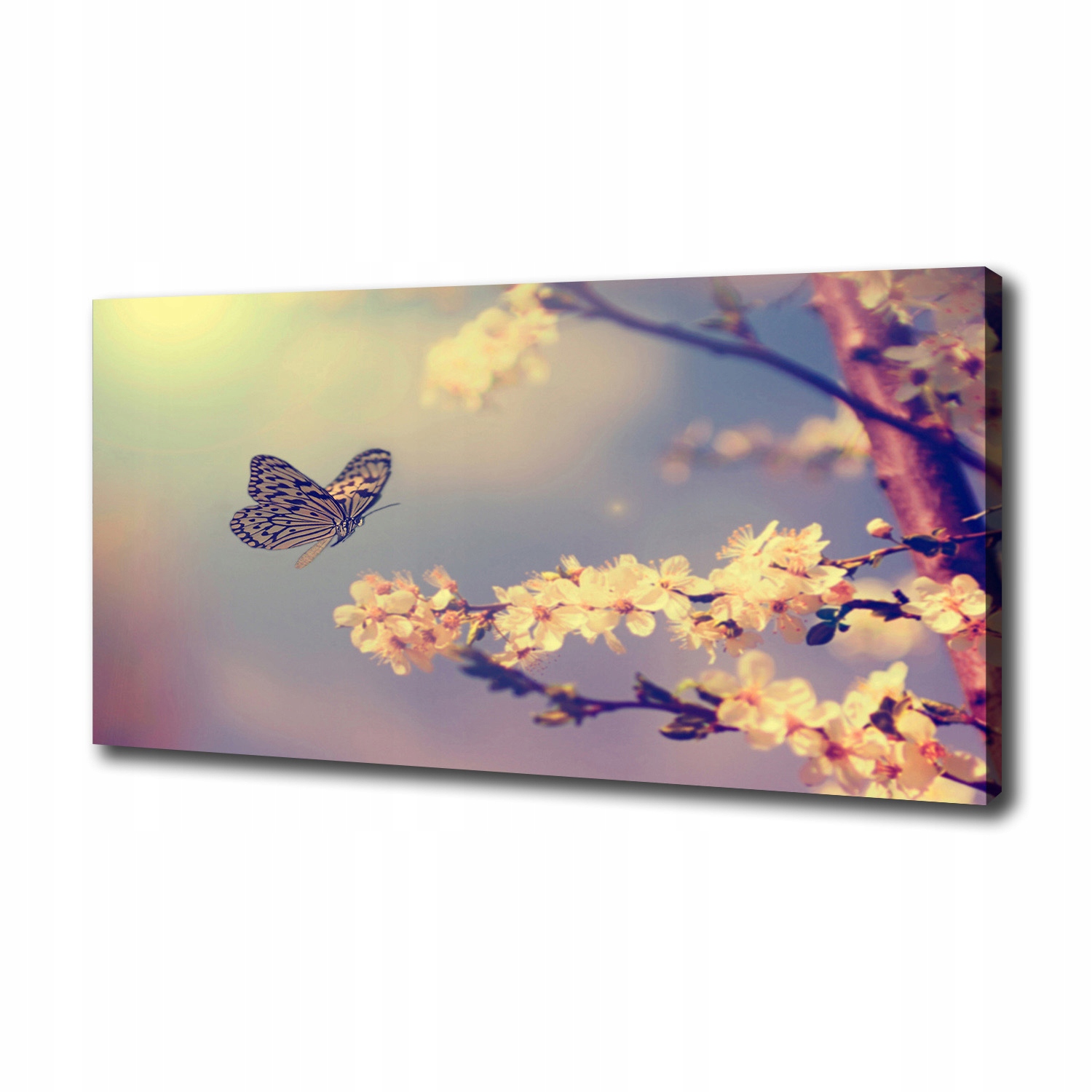 

Foto obraz na płótnie Kwiat wiśni i motyl 100x50cm