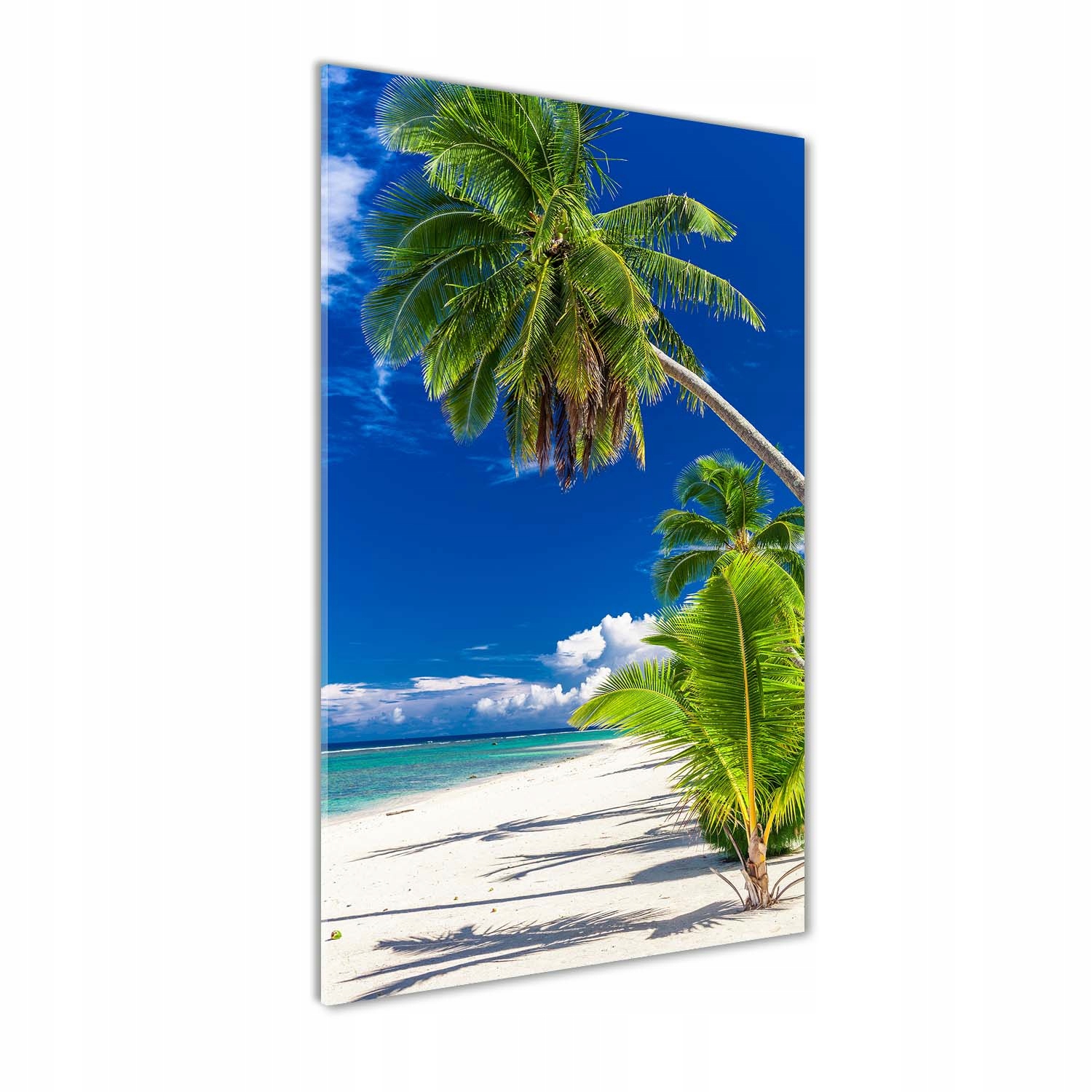 

Foto obraz szkło akrylowe Tropikalna plaża 60x120