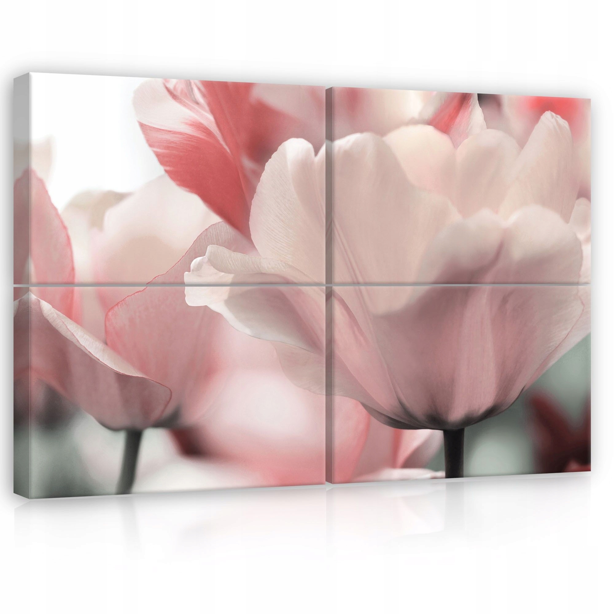 Obraz 120x80 Ružové tulipány jar jemnosť kvety príroda pokoj