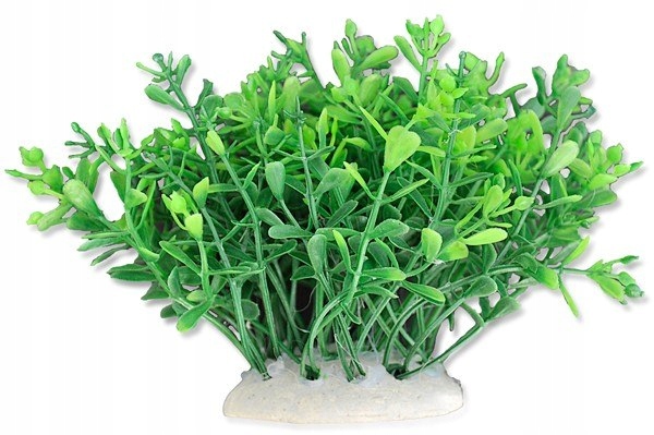 

Roślina Folia 10CM 1F07