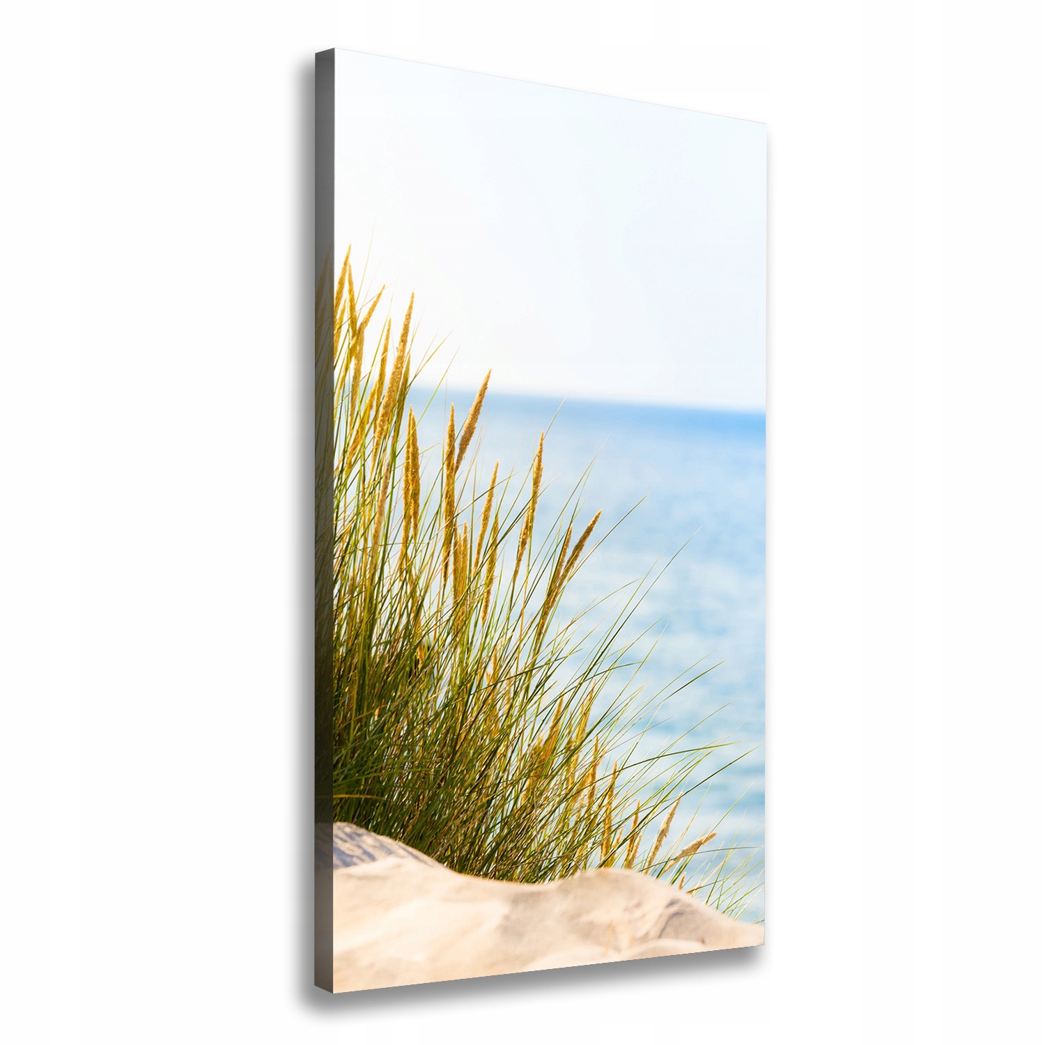 

Foto obraz na płótnie Nadmorskie wydmy 70x140 cm