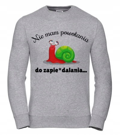 Dámská Mikina I Have No Calling Xs šedá