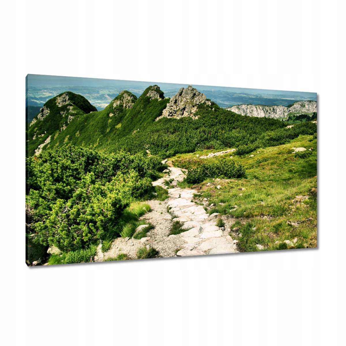 Obrazy 120x70 Tatry Polské hory Pohled