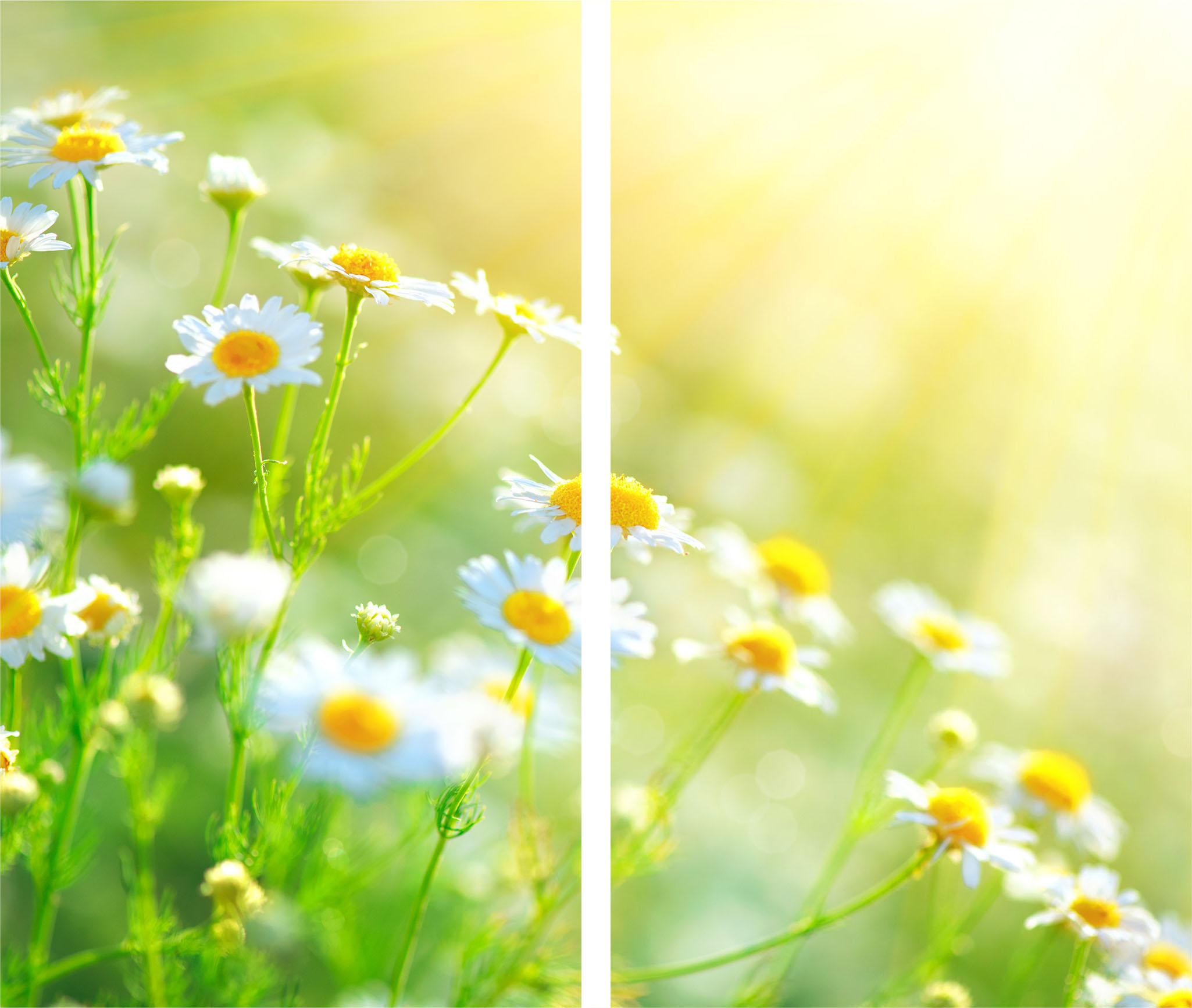 2x SZKLANA PŁYTA OCHRONNA NA KUCHENKĘ 30x52 KWIATY Marka TMK ArtDeko