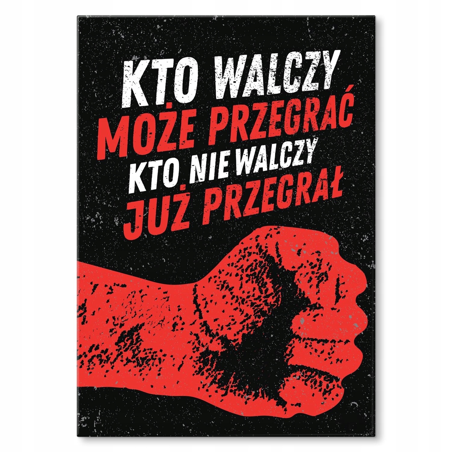 Kovový plakát Kdo nebojuje, už prohrál Štítek Plech 42 x 59,4 cm Grat