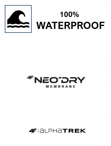 BUTY MĘSKIE 4F TREKKINGOWE W GÓRY OBMH251 31S R-46 Wzór dominujący logo