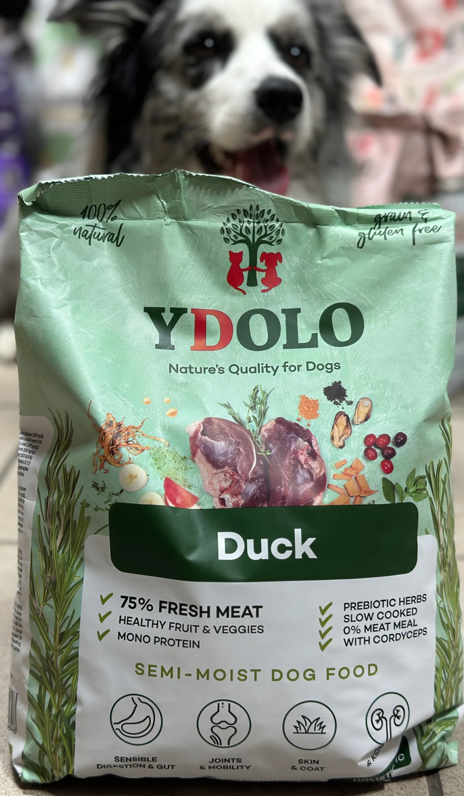 Ydolo Duck kaczka karma półwilgotna dla psa (2,5kg)