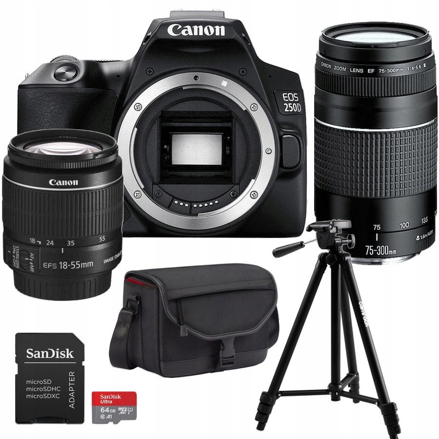 Sada Fotoaparátů Canon Eos 250D 18-55 mm Is II +75-300 Příslušenství