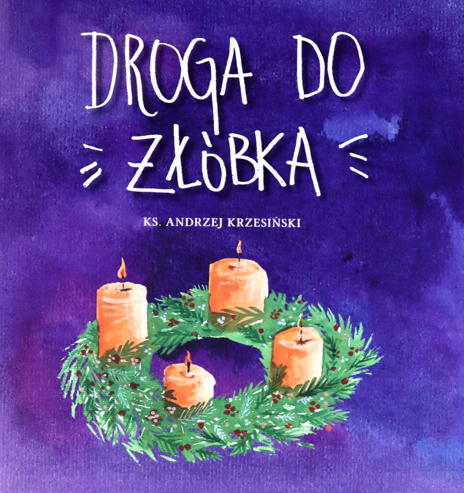 Droga Do Żłóbka Andrzej Krzesiński (książka)-Zdjęcie-0