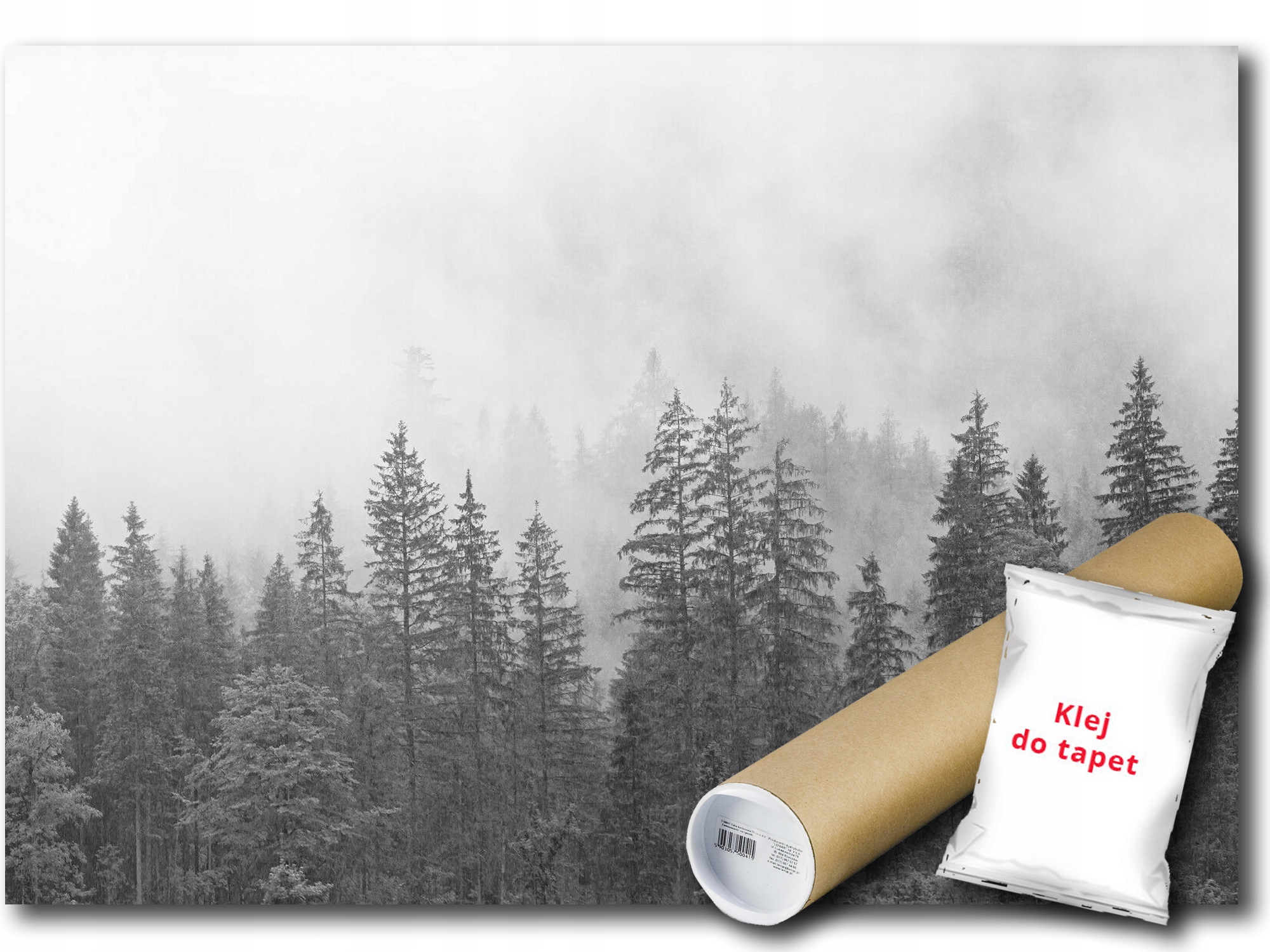 Vinylová Fototapeta Les Hory Hmla Natura 416x290