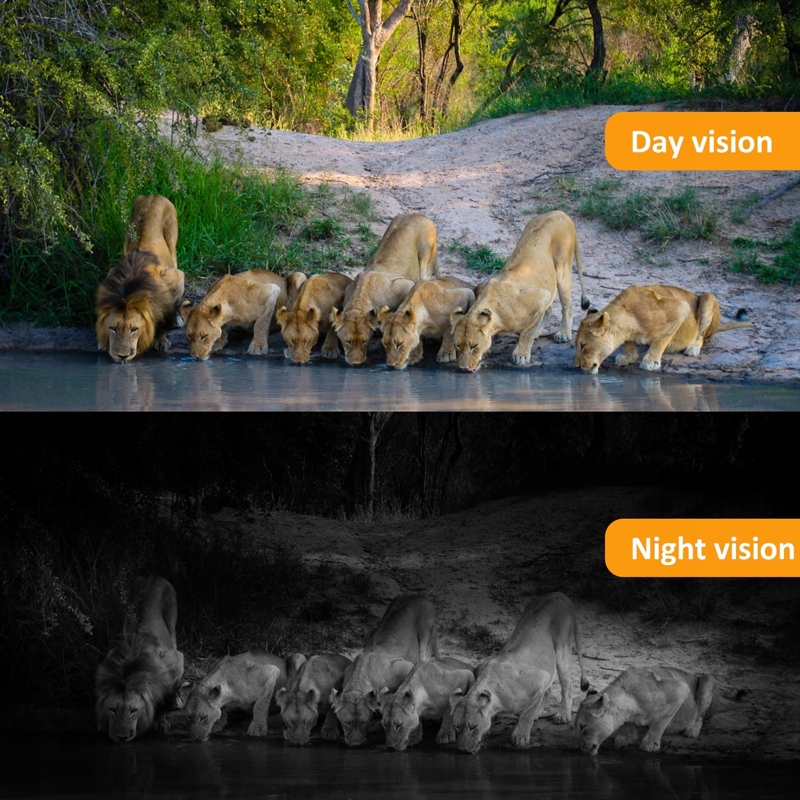 ZEWNĘTRZNA KAMERA MYŚLIWSKA 12MP Z DETEKCJĄ Stan opakowania oryginalne