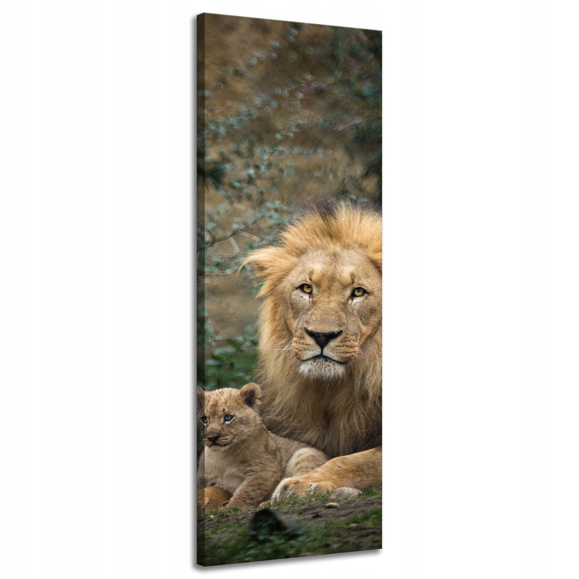 Obraz na plátně Lev a Lvíček Příroda Stromy Příroda 40x120 cm
