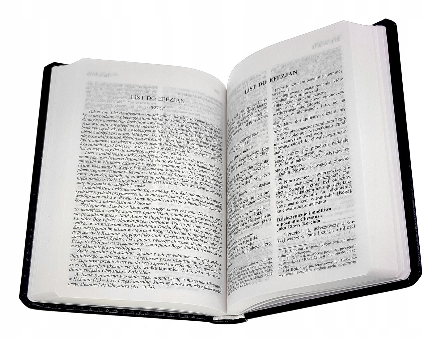 PISMO ŚWIĘTE TYSIACLECIA NOWY TESTAMENT I PSALMY Tytuł Nowy Testament i PSALMY