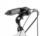 Romet Wagant 4 srebrny czarny 2024 Kolor srebrny