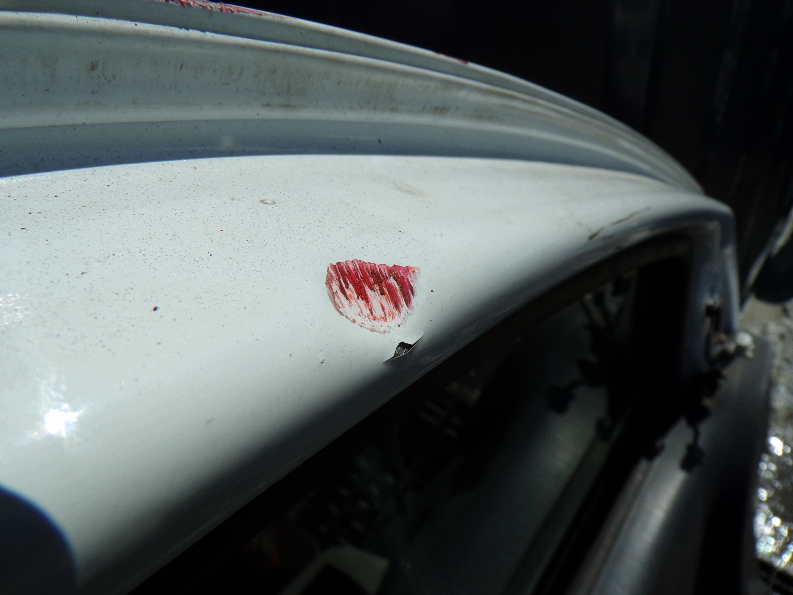 door left front DACIA DOKKER (R1)
