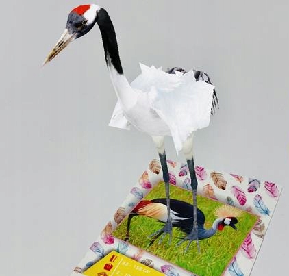 INTERAKTYWNE KARTY 4D SMARTY 3+ PTAKI ZWIERZĘTA RYBY SMARTFON APLIKACJA Wiek dziecka 3 lata +