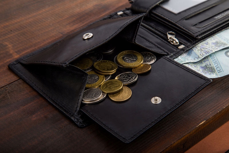Betlewski Portfel męski skórzany RFID karty bilon Model BPM-DZ-61