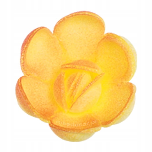 Waflowa Róża angielska Herbaciana cieniowana mała 70szt