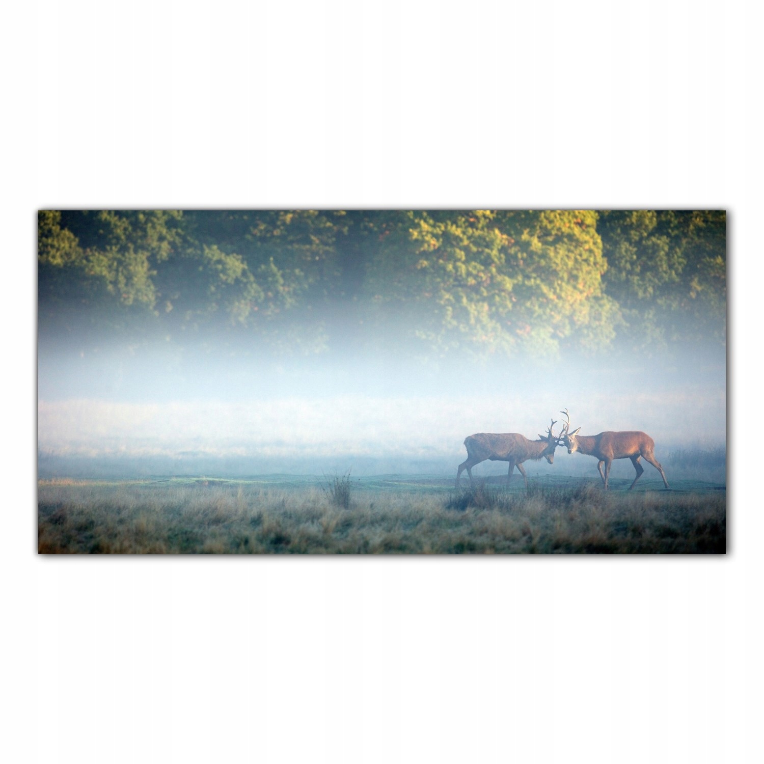 Jelen Příroda Zvířata 140x70 Kuchyňský panel sklo