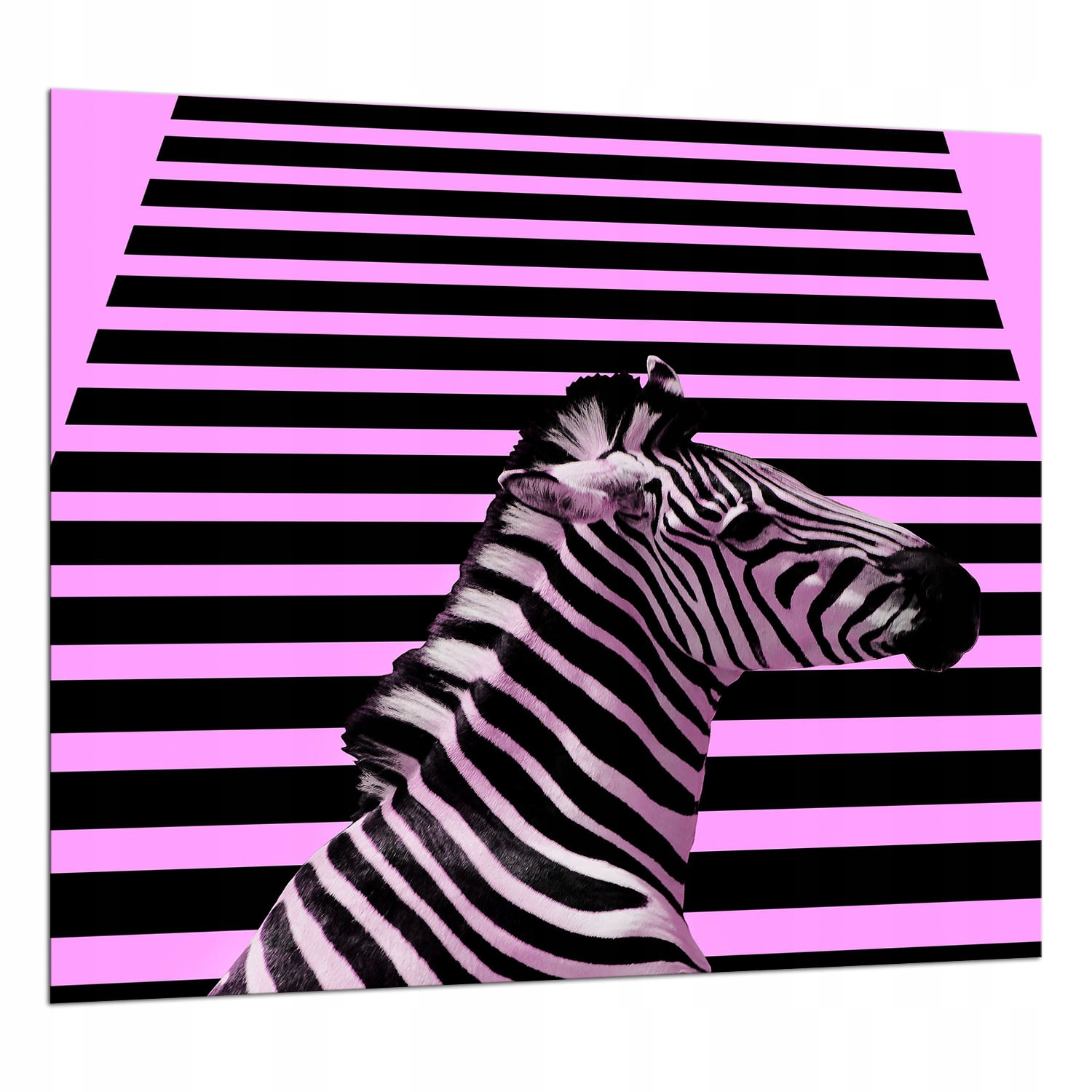 Skleněná Ochranná Deska 65x60 Zebra