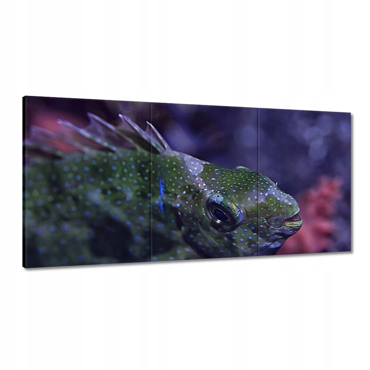 Obrazy 180x90 Morský vodný ekosystém