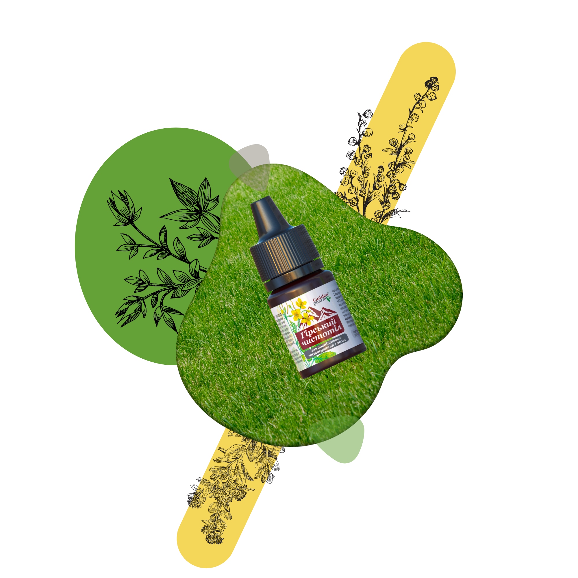 GLISTNIK GÓRSKI JASKÓŁCZE ZIELE WŁÓKNIAKI KURZAJKI BRODAWKI MODZELE 20 ml Opakowanie ampułki