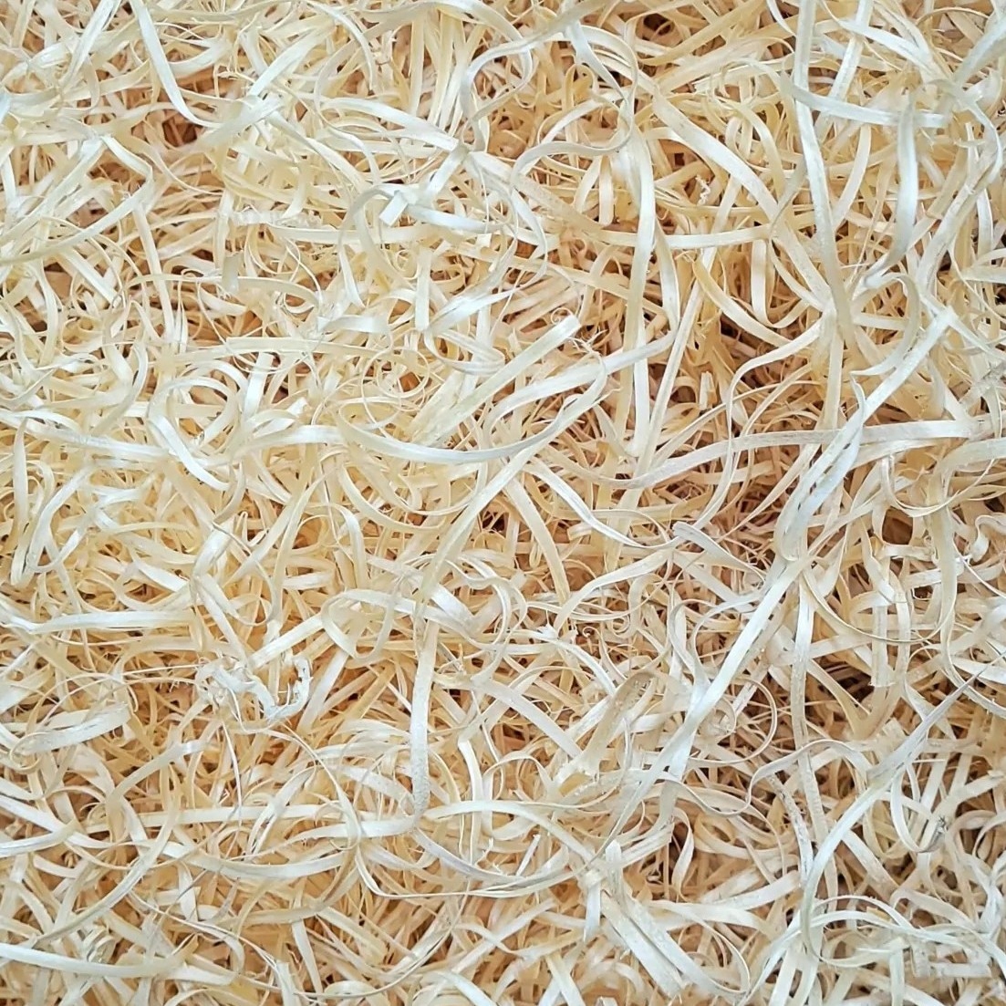 Wełna drzewna 1 kg