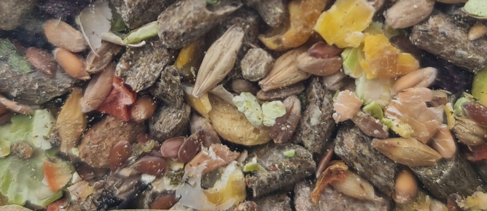 Vitapol KARMEO Premium karma dla KRÓLIKA 2,5 kg. Marka Vitapol