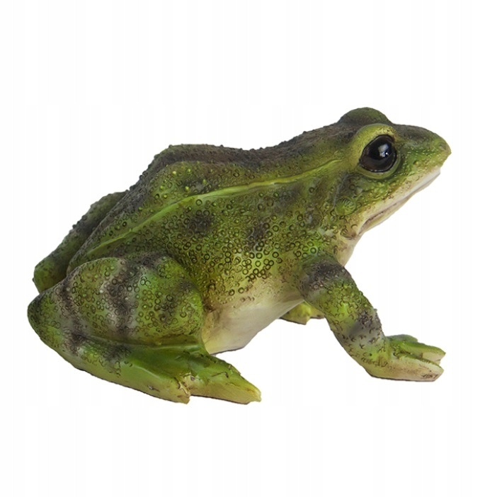 

Żaba Figurka ogrodowa Dekoracja ogrodu 1