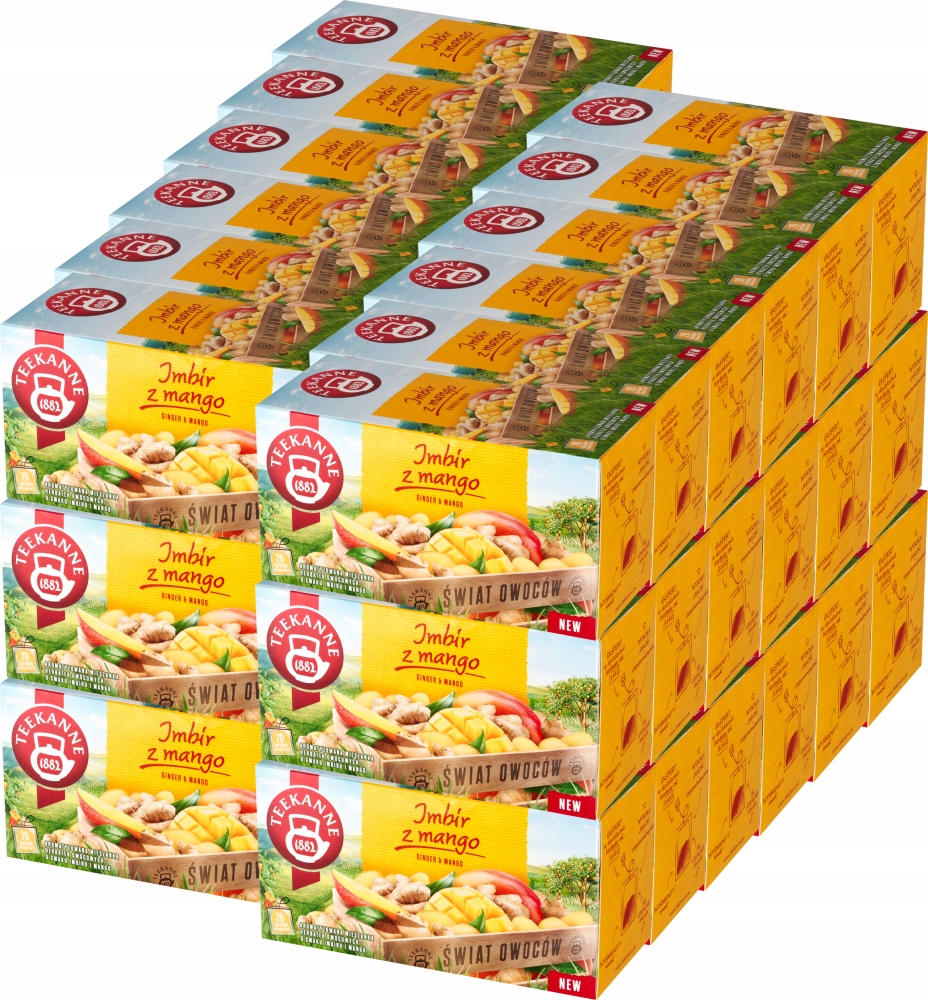 Teekanne 20tb Ginger Mango x36