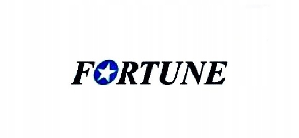 

4x Fortune 215/75 R17.5 Fth 135 135/133J Naczepa