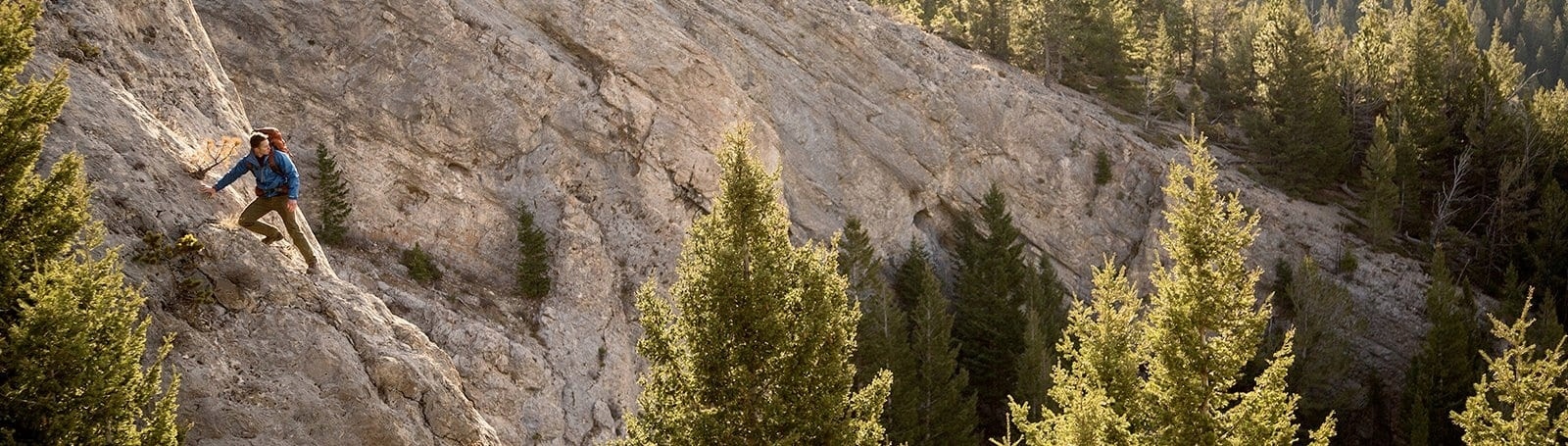 Nawigacja GPS Garmin GPSMap 65 2,6 " Przekątna ekranu 2.6