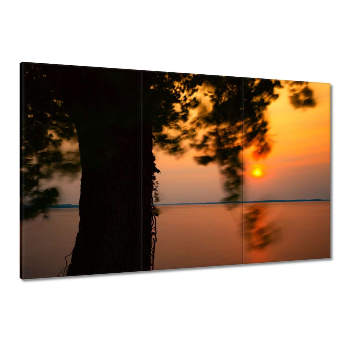 Obrazy 120x80 Strom Západ Slunce