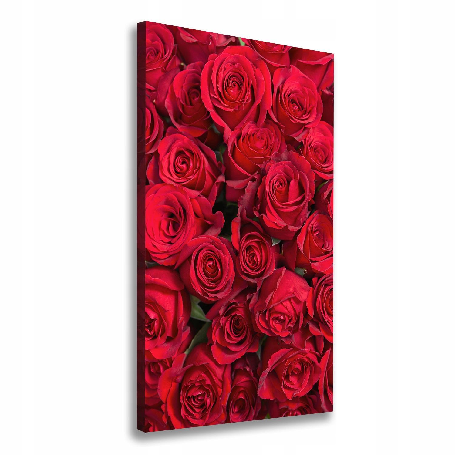

Foto-obraz canvas do salonu Czerwone róże 70x140cm