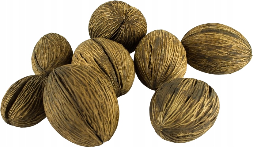 5x MINTOLLA Naturalny SUSZ DO DEKORACJI Stroik