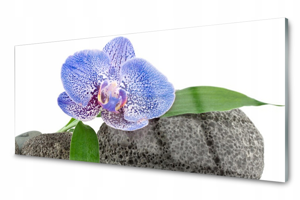 

Panel szklany do kuchni Kwiat Roślina 125x50