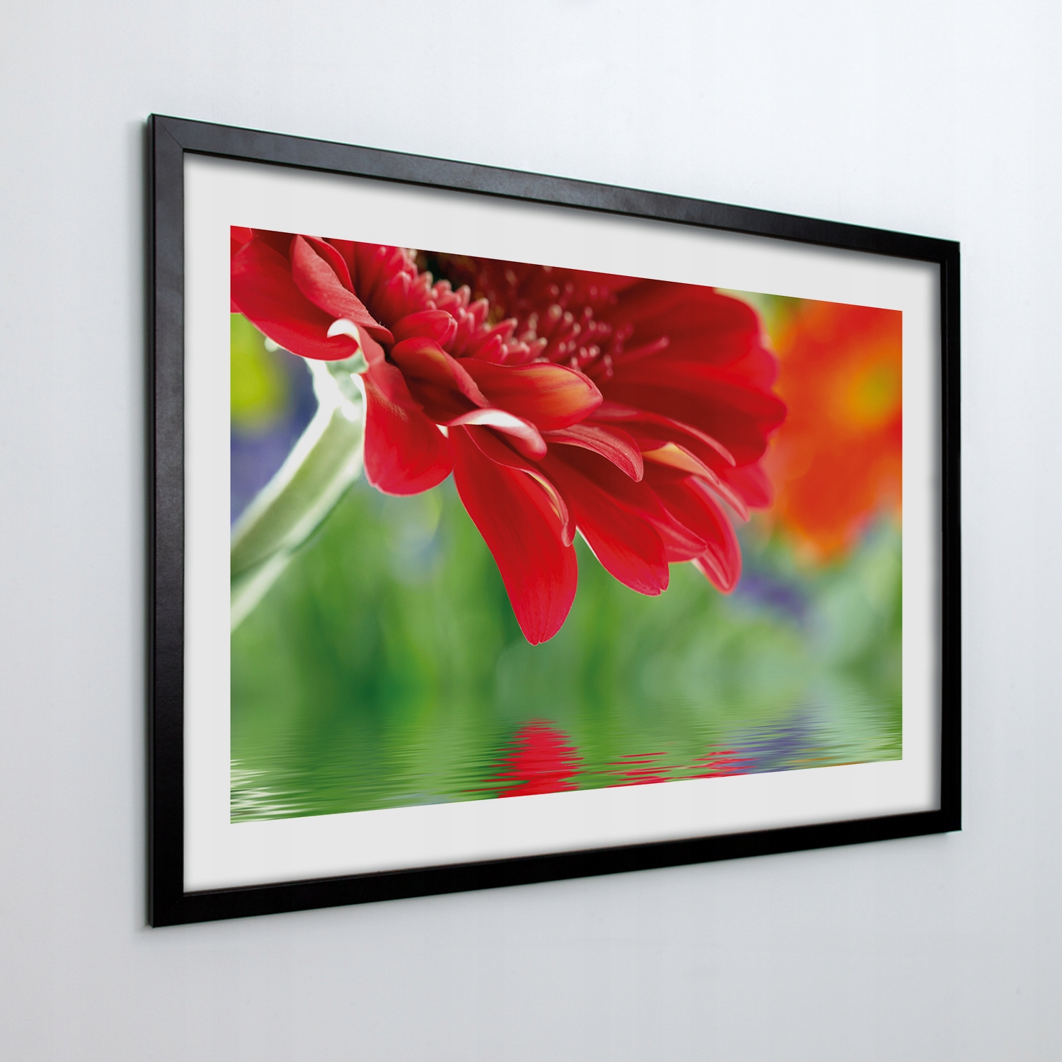 Obraz v rámu na zeď Gerbera, vločky, voda 70x50