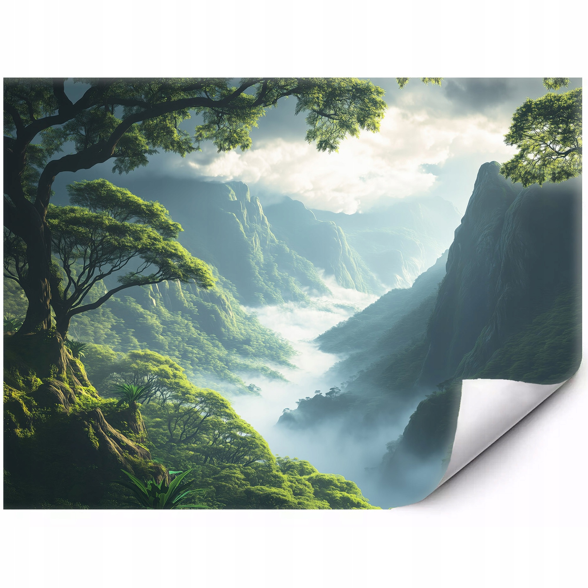 Fototapeta Malebné horské údolí s mlhou 350 x 250 cm
